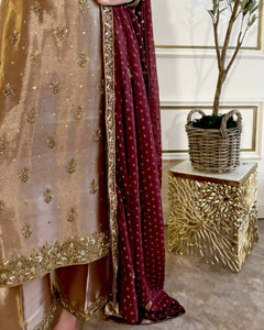 Launching New Disine Top-Plazzo With Dupatt Set